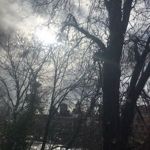 Meet your Posher, Fox